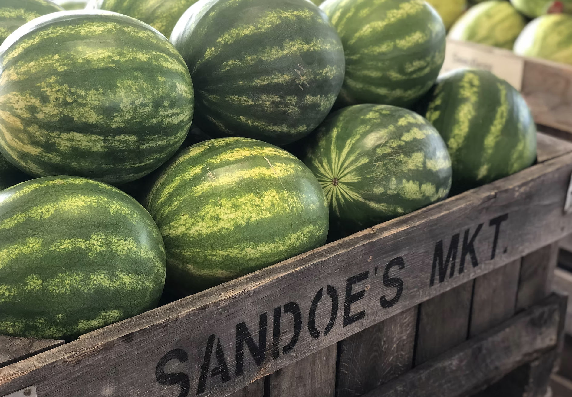 Sandoe's Fruit Market